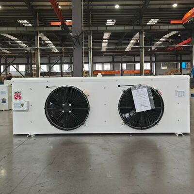 comprar Evaporador compacto do refrigerador de ar do armazenamento frio DL20 online manufacture
