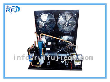 Unidades de condensação da refrigeração refrigerar de água, unidade de condensação horizontal R22 preto 4-30HP da sala fria