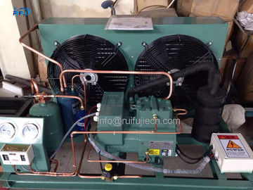 Tipo médio tipo unidade de condensação da baixa temperatura V do alojamento do condensador do compressor de Bitzer