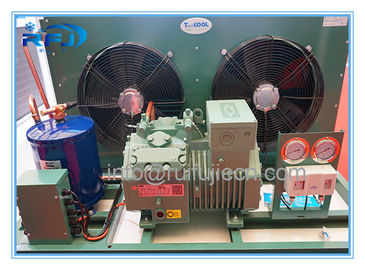Os dados técnicos do ar de Bitzer refrigeraram unidades da refrigeração/a unidade de condensação condensador do compressor
