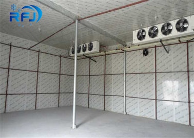 Refrigerador comercial de passeio da sala fria 380V/3P/50Hz do congelador para o alimento de mar