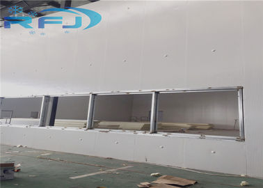 Caminhada nova do refrigerador da sala fria da circunstância no congelador para a congelação da carne/carne de carne de porco
